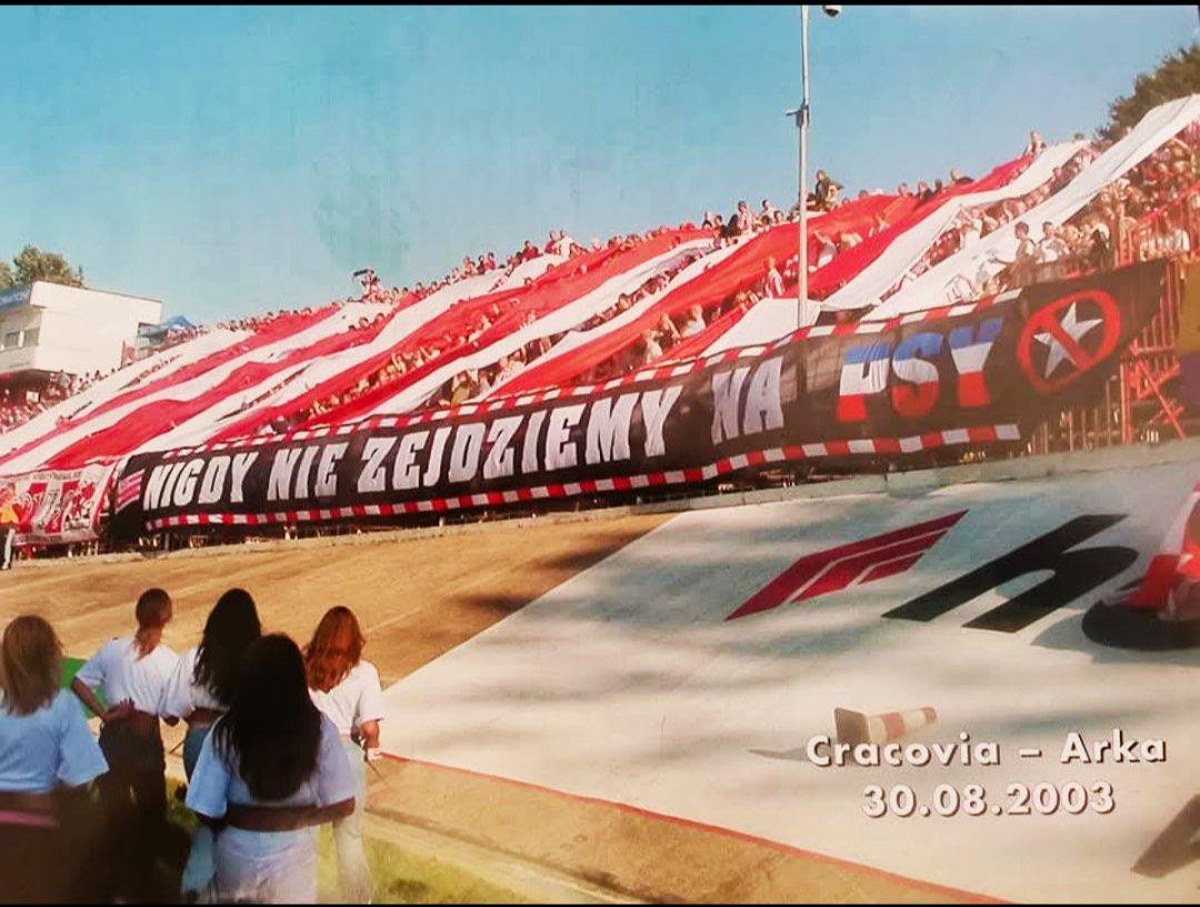 petersen67 tweet media