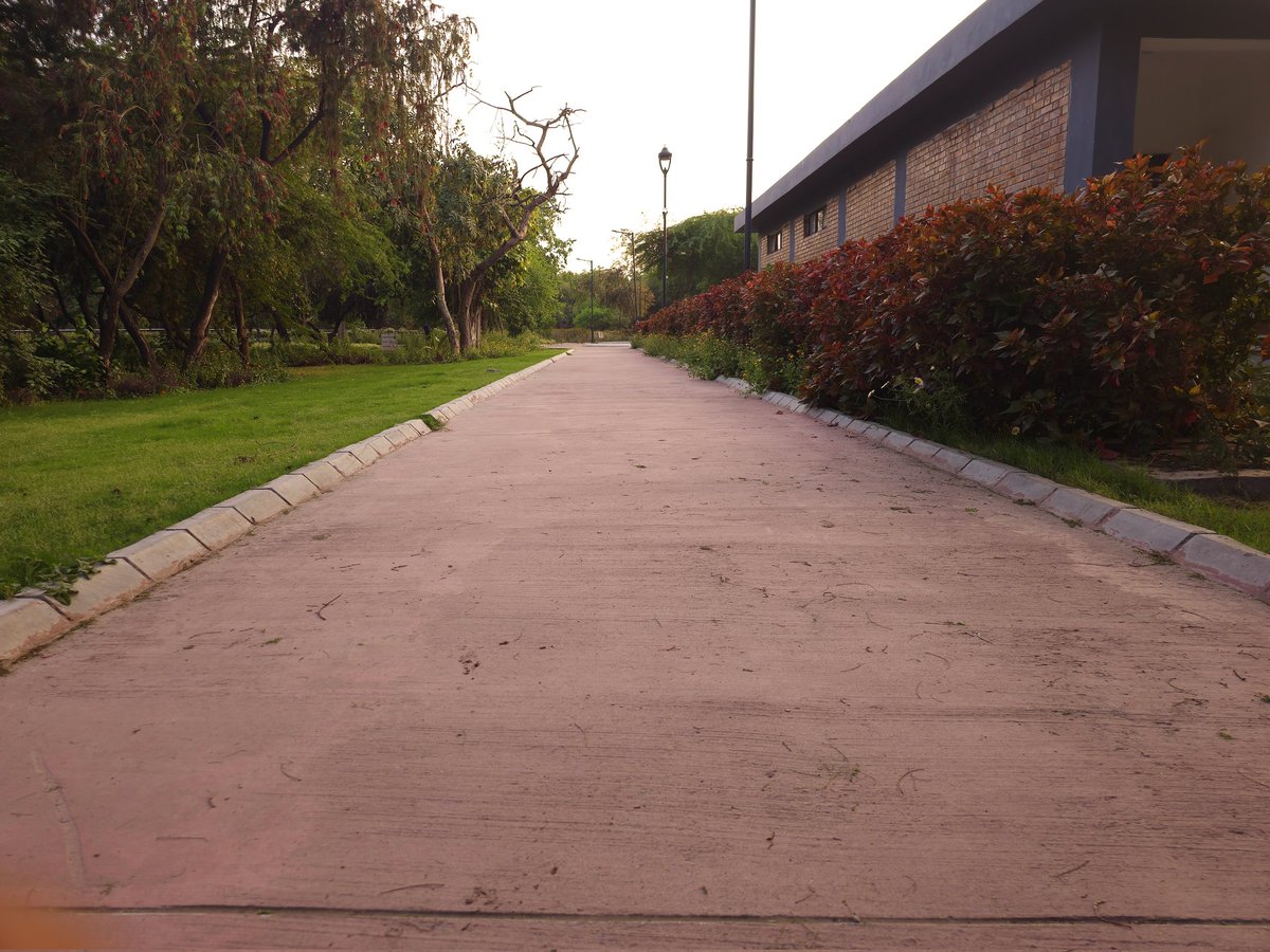 L3o 🦇 tweet media