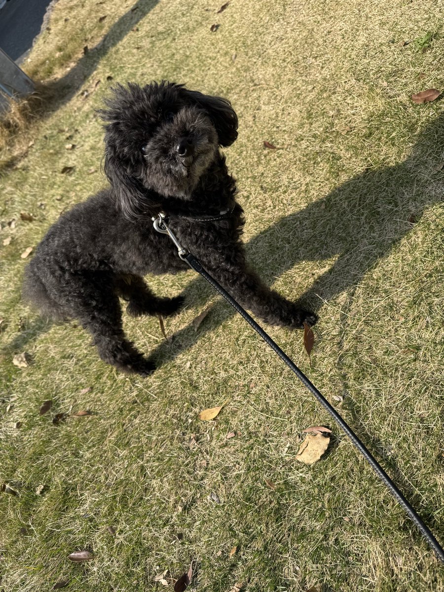 エディ&ルイ tweet media