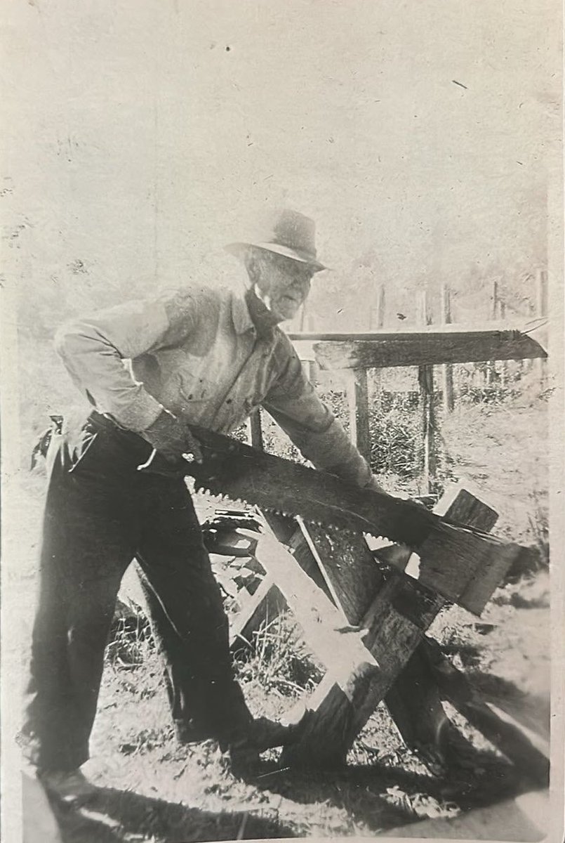 Sharon🤘🏻⚜️🇺🇸 tweet media