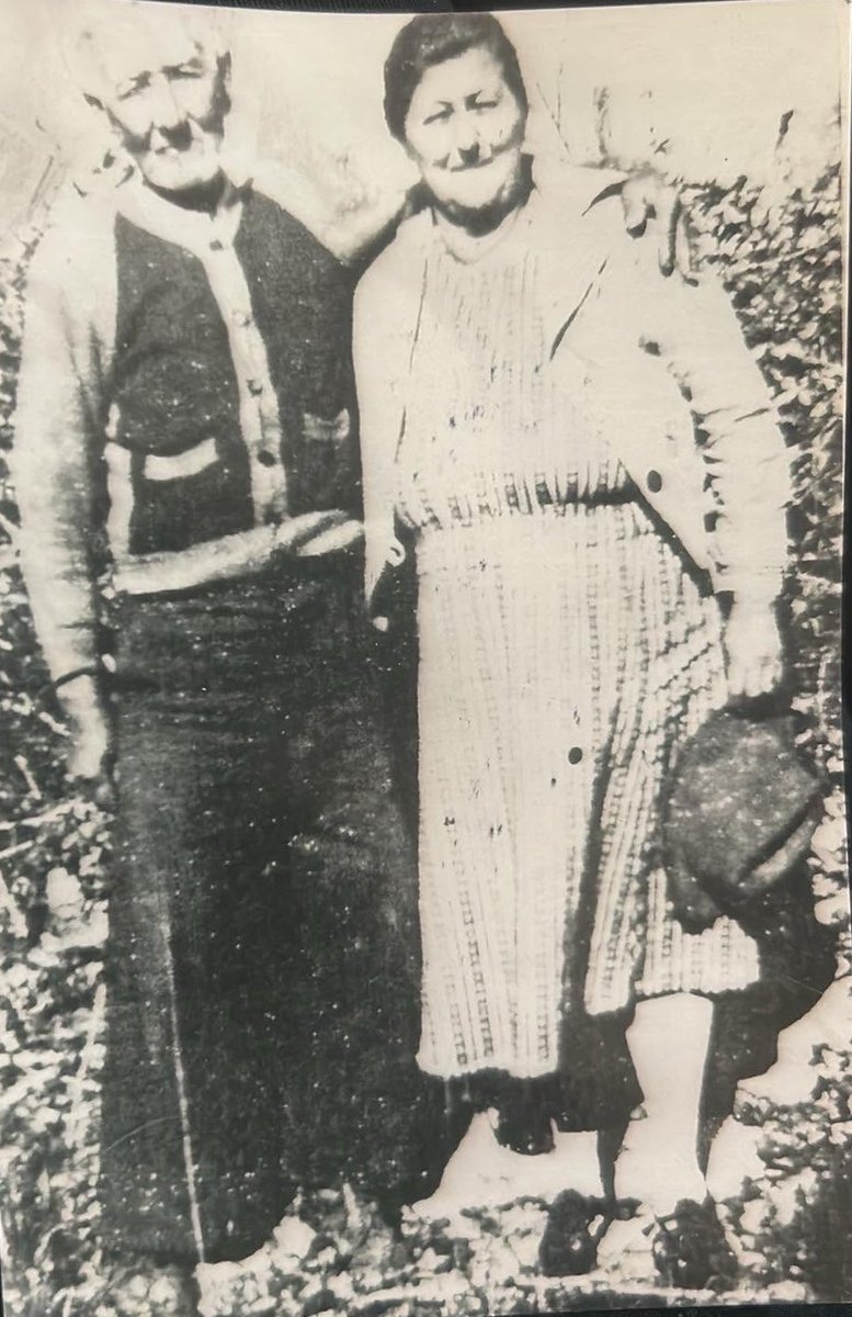 Sharon🤘🏻⚜️🇺🇸 tweet media