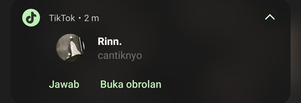 papaay 🕊️ tweet media