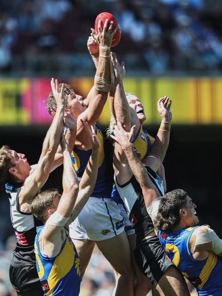 jobe shanahan may actually be a f@#king god tweet media