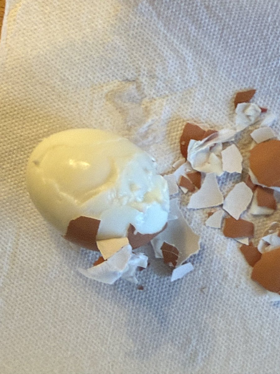 fritzchenpflaumenbaum tweet media