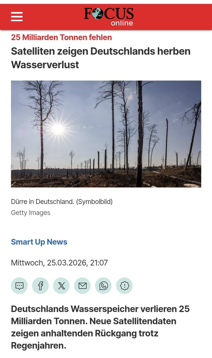 Storch_i tweet media