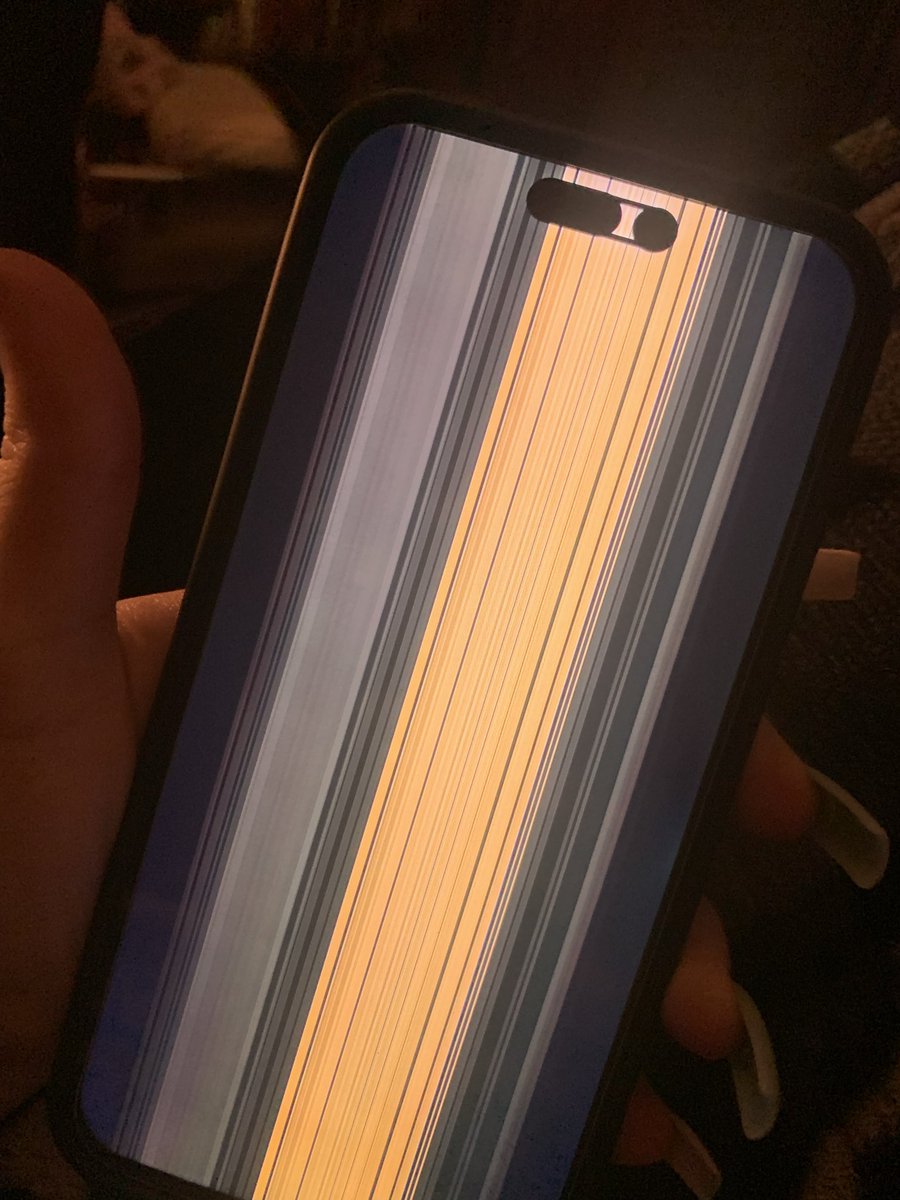 madi🎠 tweet media