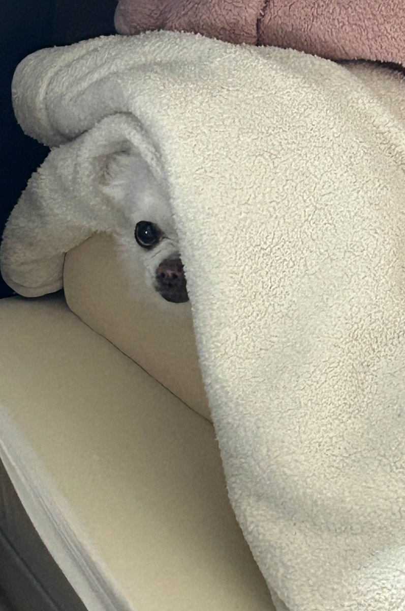 urosu kenta tweet media