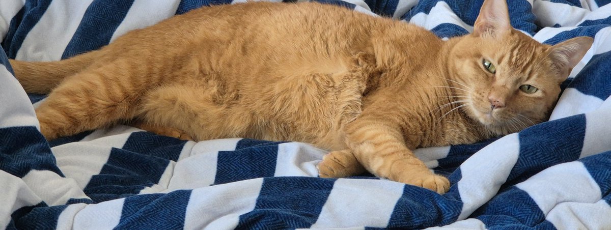 M雪🕯 tweet media