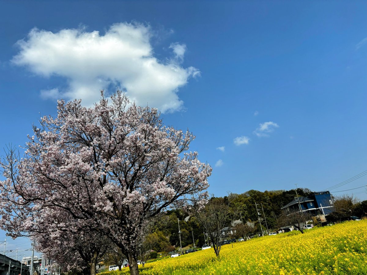 Makimaki ฅˆ•ﻌ•ˆฅ♬*゜ tweet media