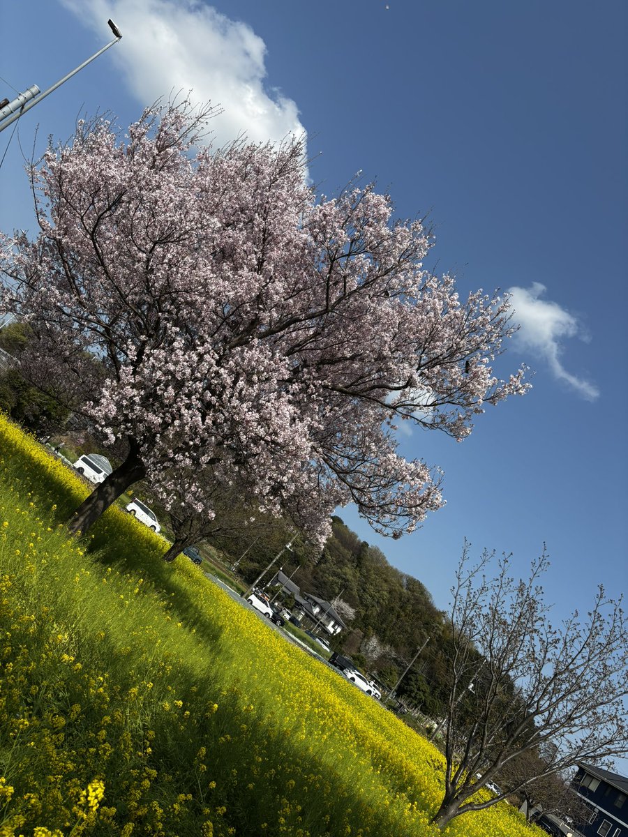 Makimaki ฅˆ•ﻌ•ˆฅ♬*゜ tweet media