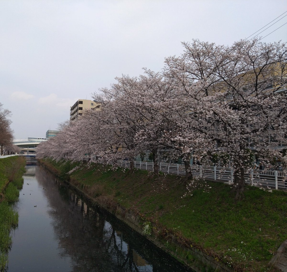 エロティックな7分間 tweet media