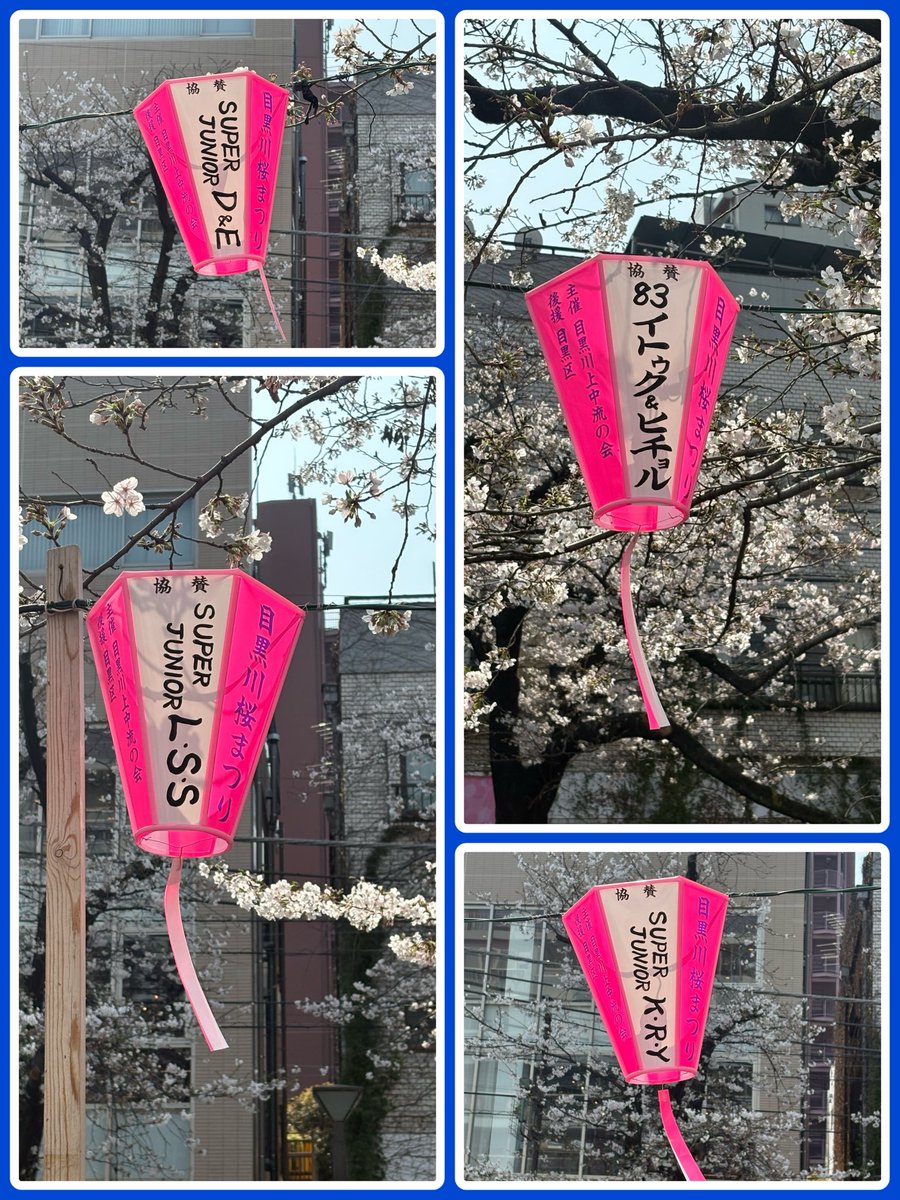 ♡noe_eri♡ tweet media
