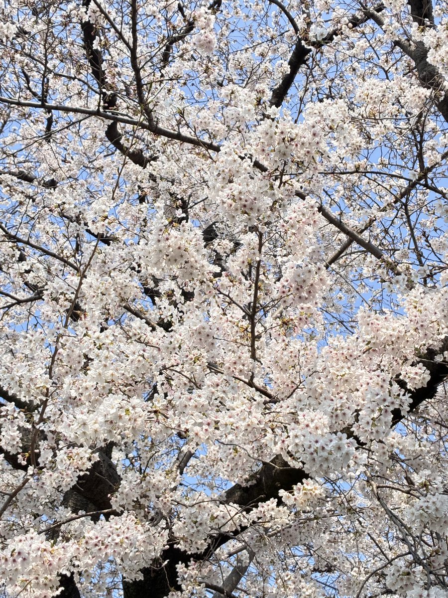 🅂🄸🄽 tweet media