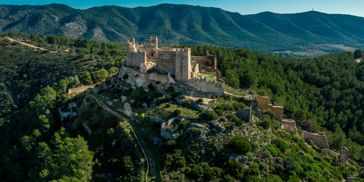 Region of Valencia tweet media