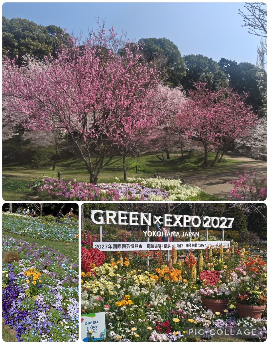 ワンダフル🐶 tweet media