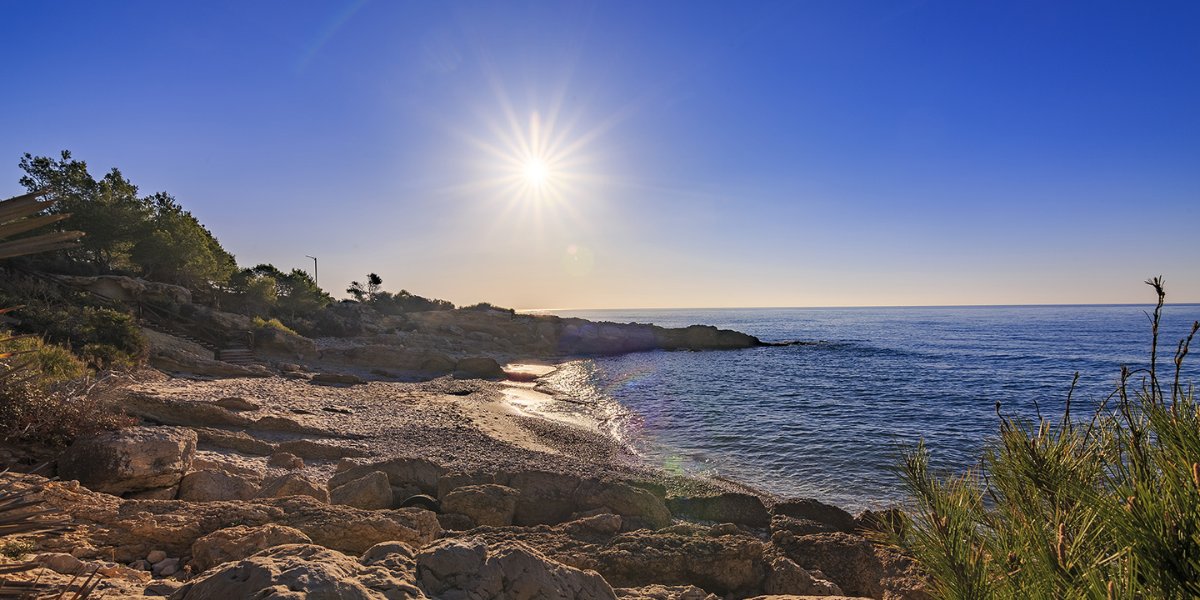 Region of Valencia tweet media