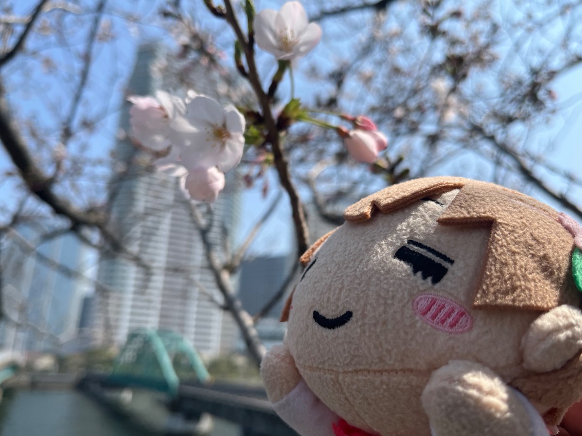 f-take/せれな tweet media