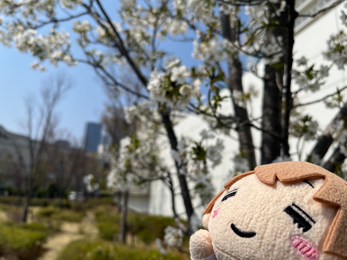 f-take/せれな tweet media