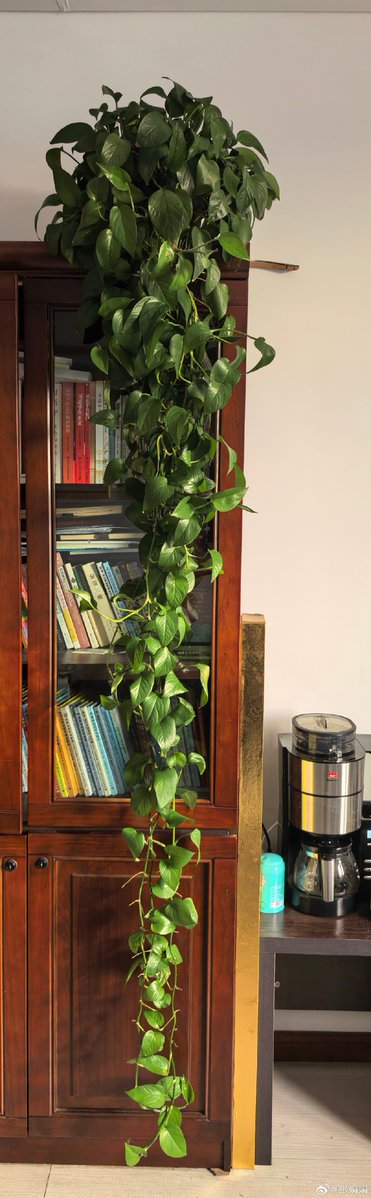 Maty Millor Armero tweet media