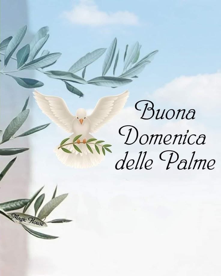 ∞ ᭄ · 𝓵!ⓩᵃ 🐣 tweet media