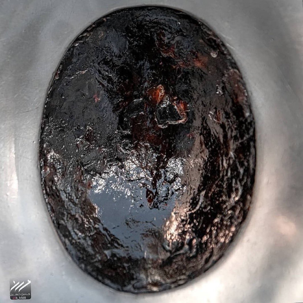 Halal Nation ☪︎ tweet media