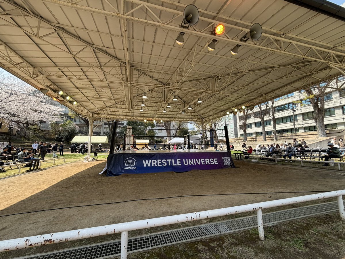 スマックダウン tweet media