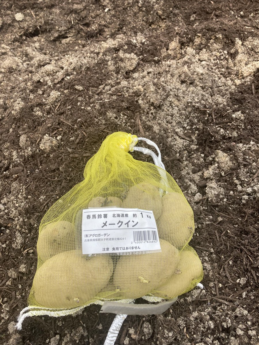 トリバルウ tweet media