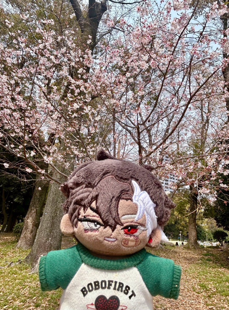 curry_seo's tweet photo. #屰火
暁くんと春🌸 https://t.co/cfSHvqQU0T