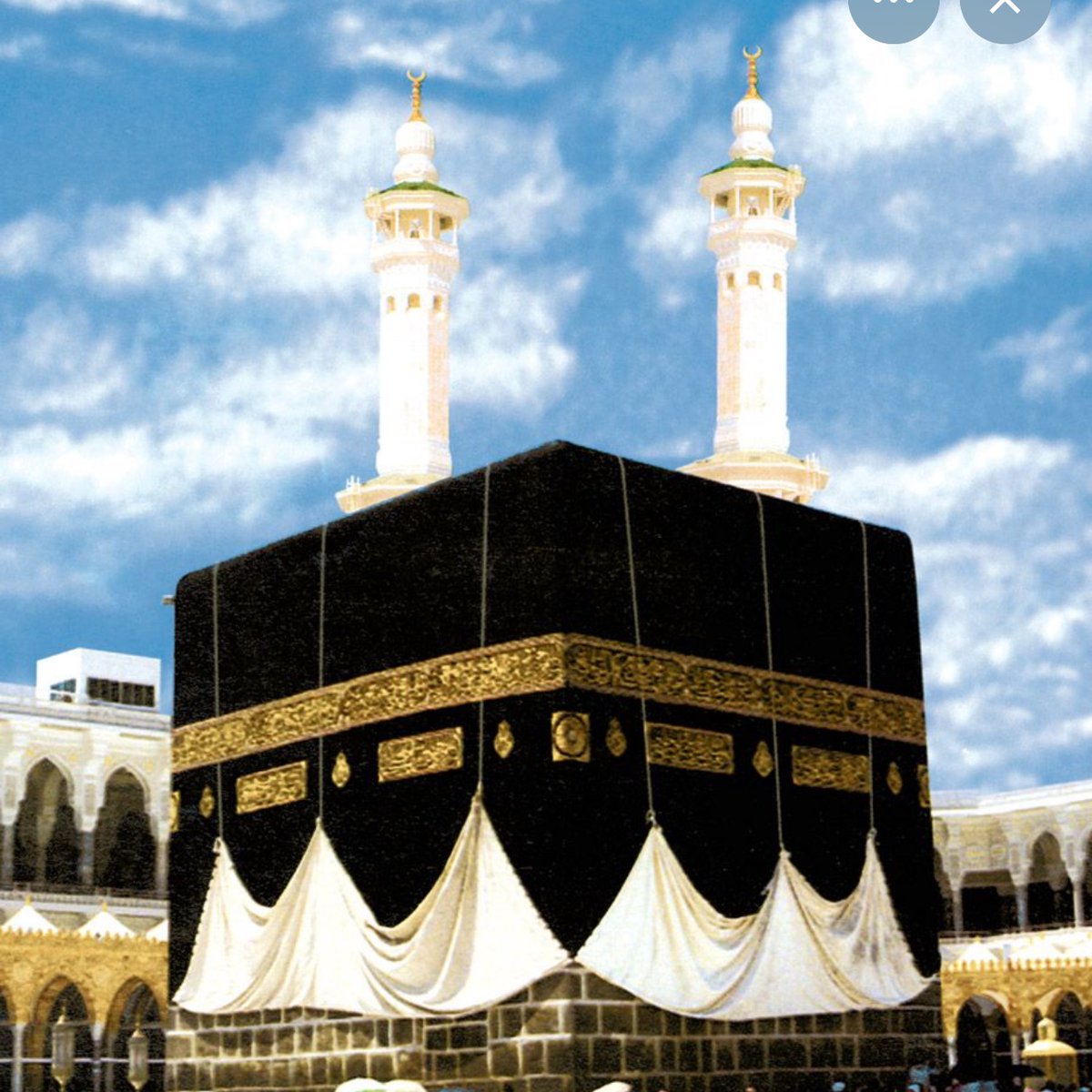 Elena 🇮🇷🦢 tweet media