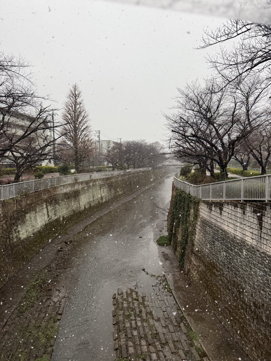 𝓡𝓮𝓷 tweet media