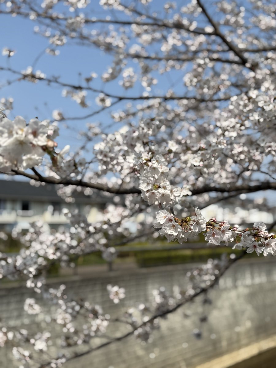 𝓡𝓮𝓷 tweet media