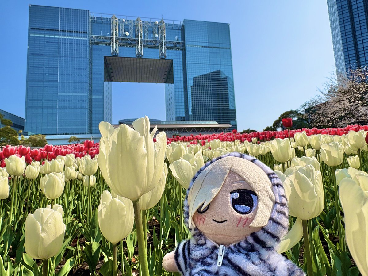 ぷらチナ tweet media