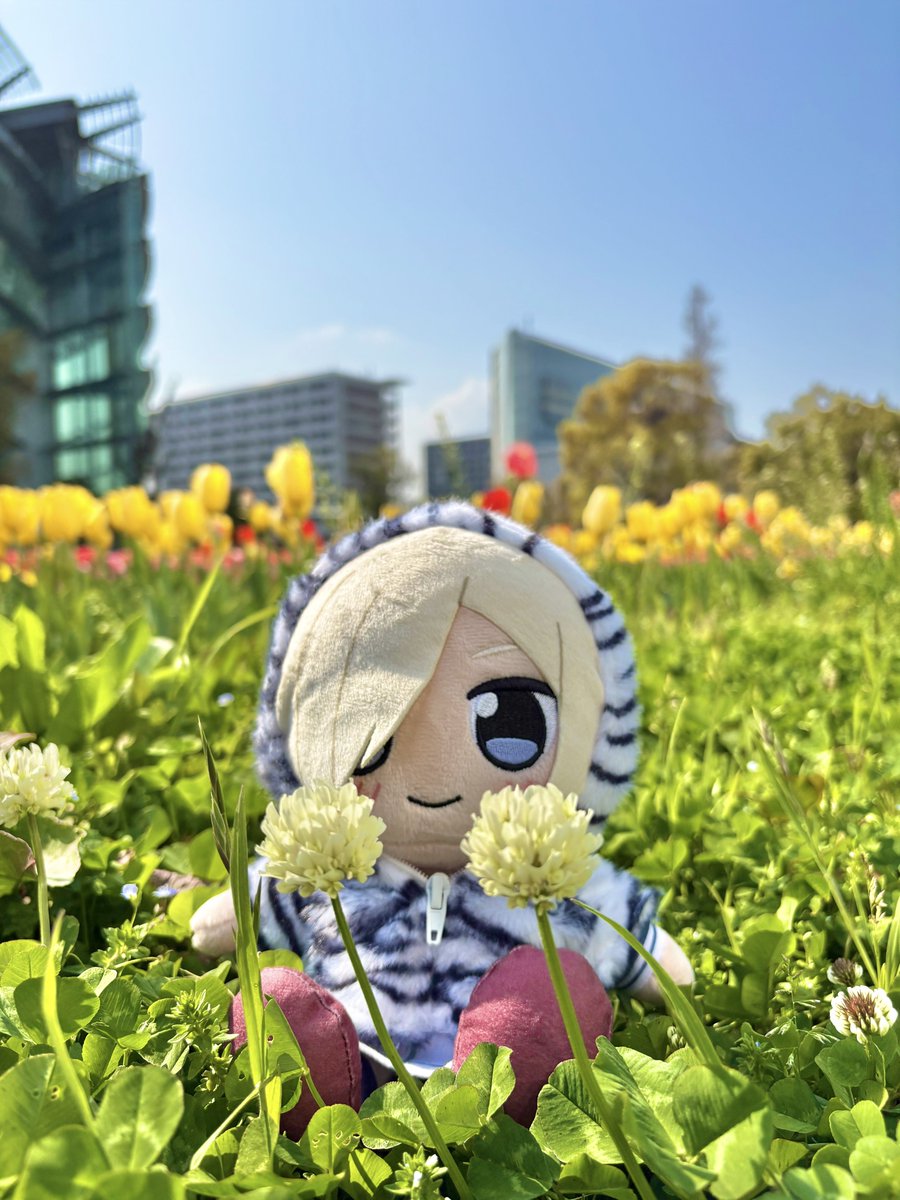 ぷらチナ tweet media