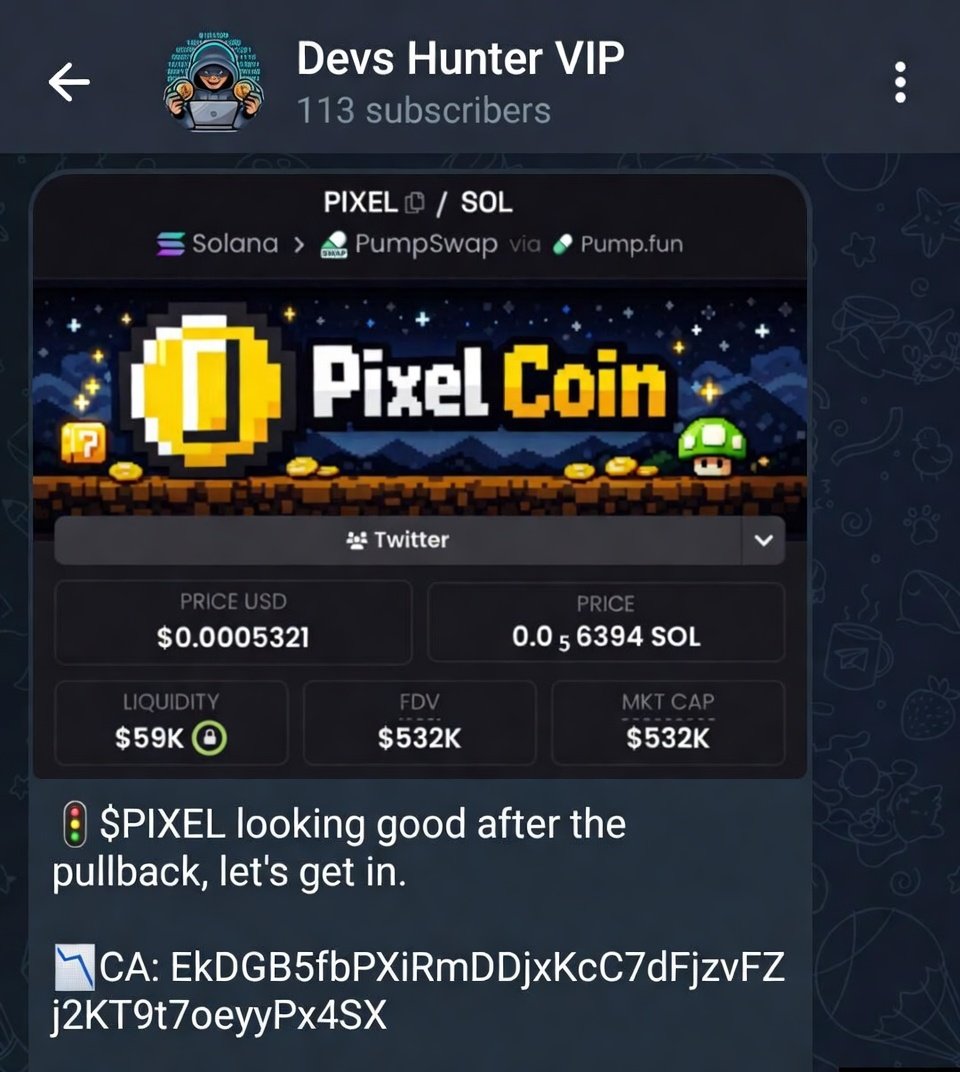Devs Hunter tweet media