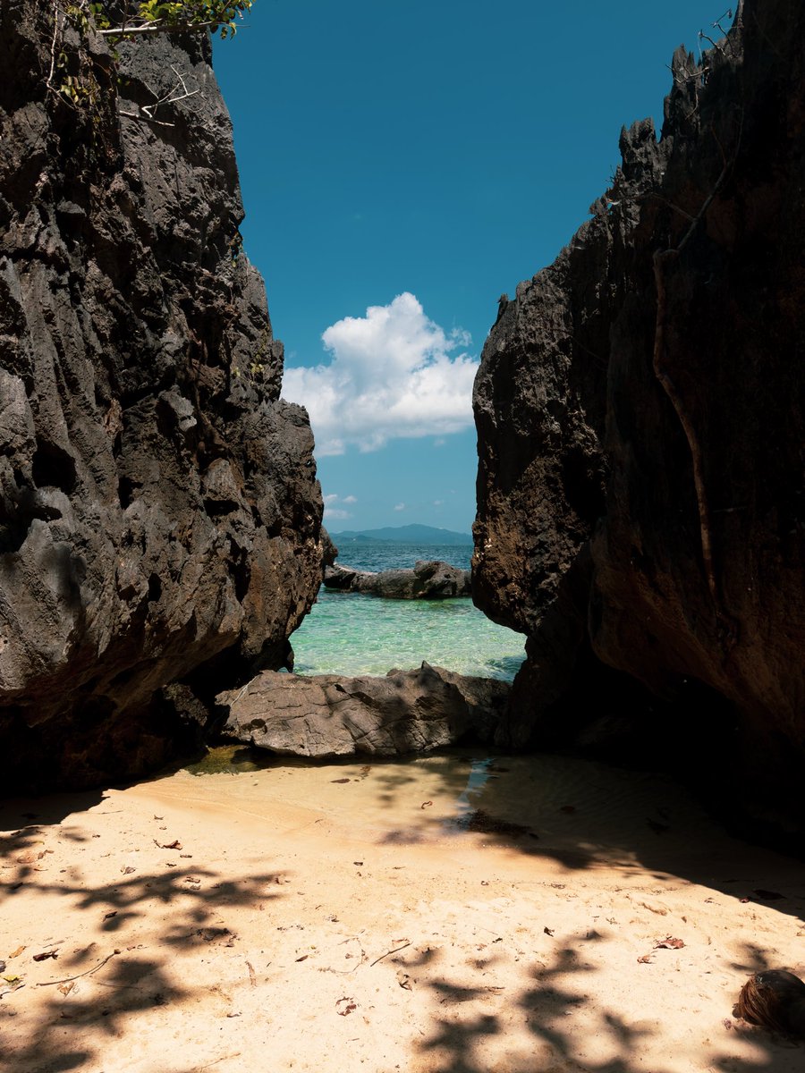 ❀ Rheya ❀ tweet media