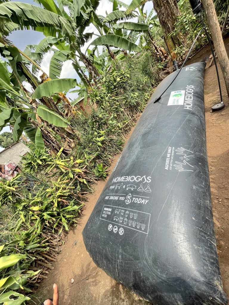 THE POWER OF BIOGAS PRODUCTION FROM ANIMAL WASTES

One of the greatest challenges and opportunities in modern agriculture lies in how we manage animal waste. The three images above tell a compelling story from a high-producing dairy cow, to the fresh dung it produces, to the