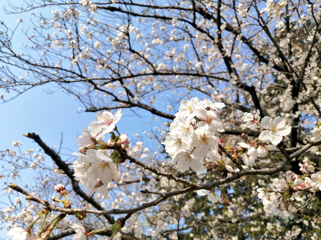 Mi3𓅪𖤣𖥧𖥣𖡡𖥧𖤣 tweet media