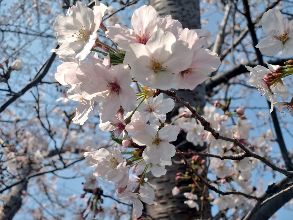 もんち。 tweet media