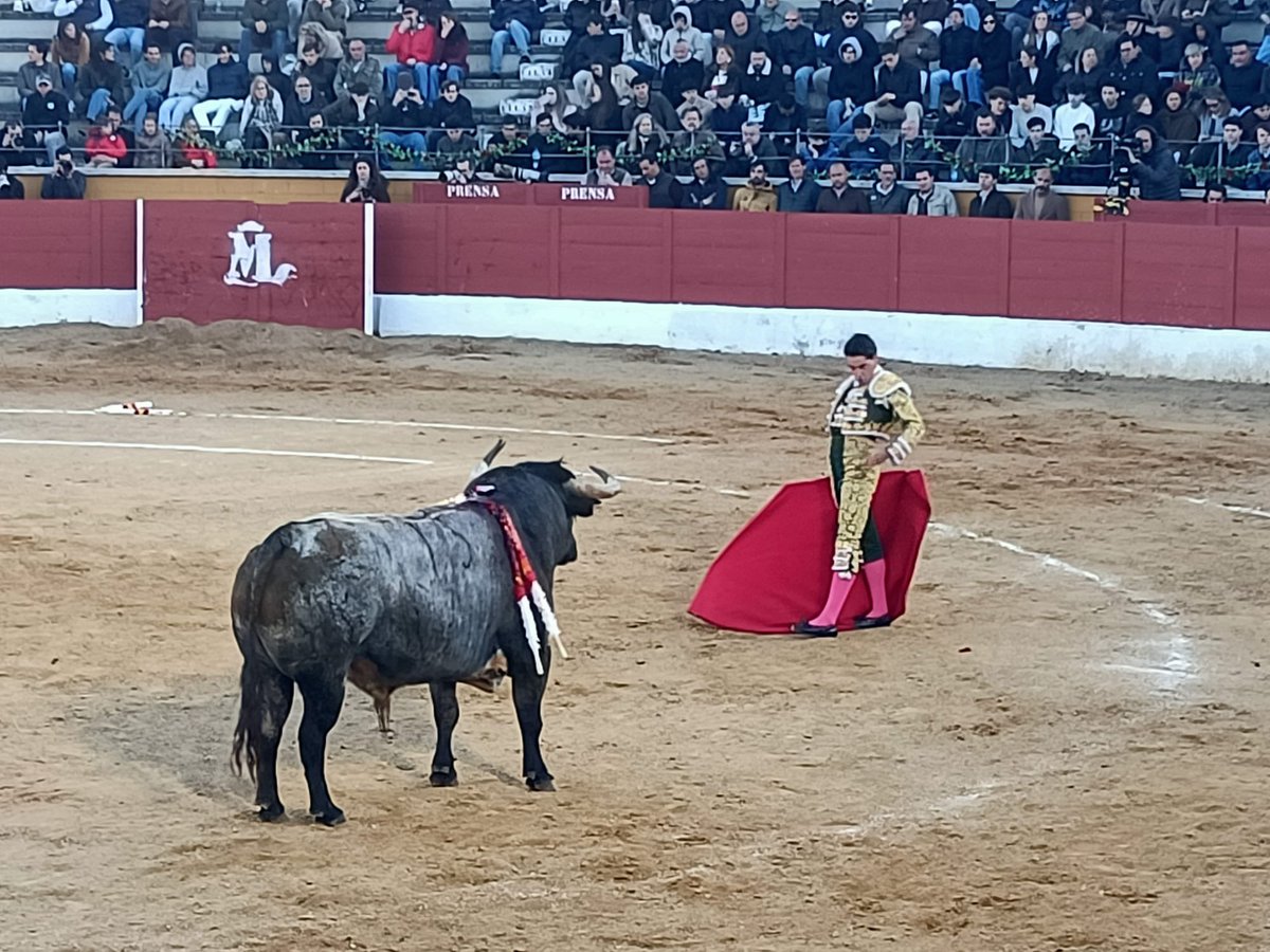 Al Toro Por los Cuernos tweet media
