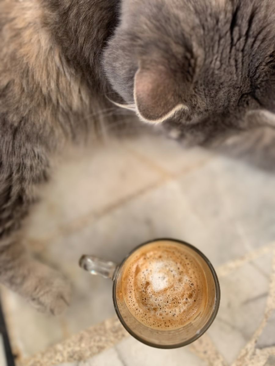 ᗰᎥᗰᗩᕼ𐂃︎ tweet media