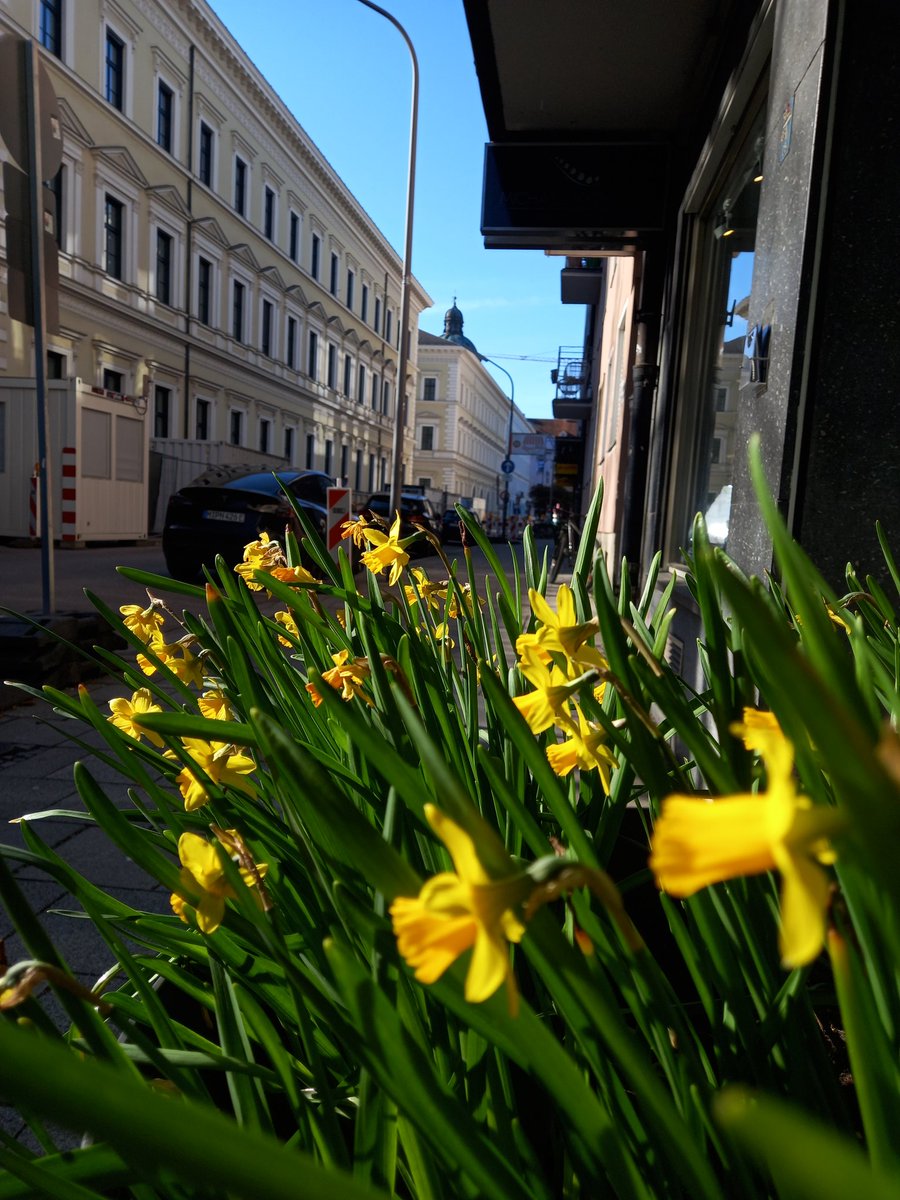 Neto 🌹🕊🌹PAZ صلح PAIX мир 平和 BARIŞ سلام 평화 शांति tweet media