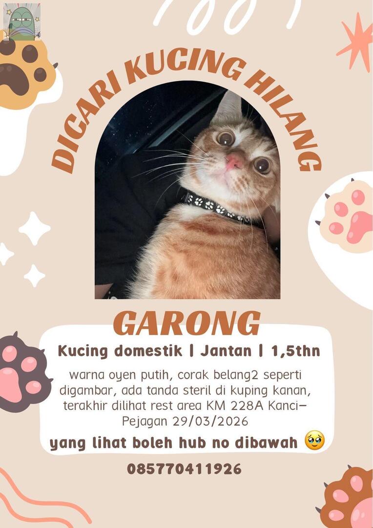 Tanyarlfes tweet media