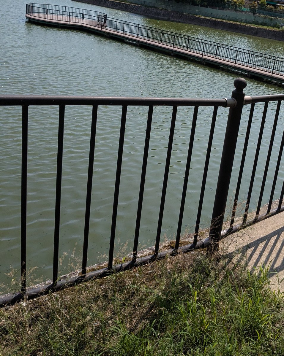 nok1ー17 tweet media