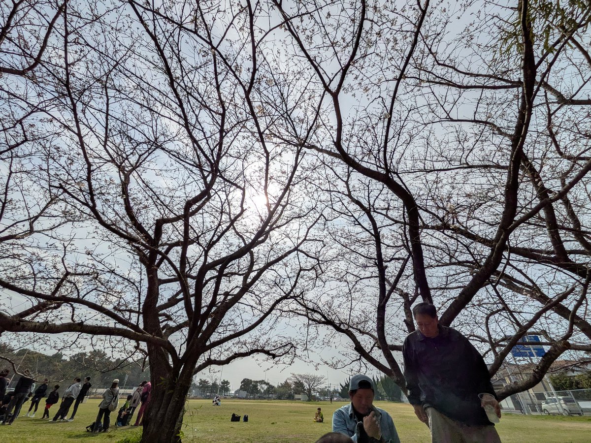 ⭐海パパ💙💛 tweet media