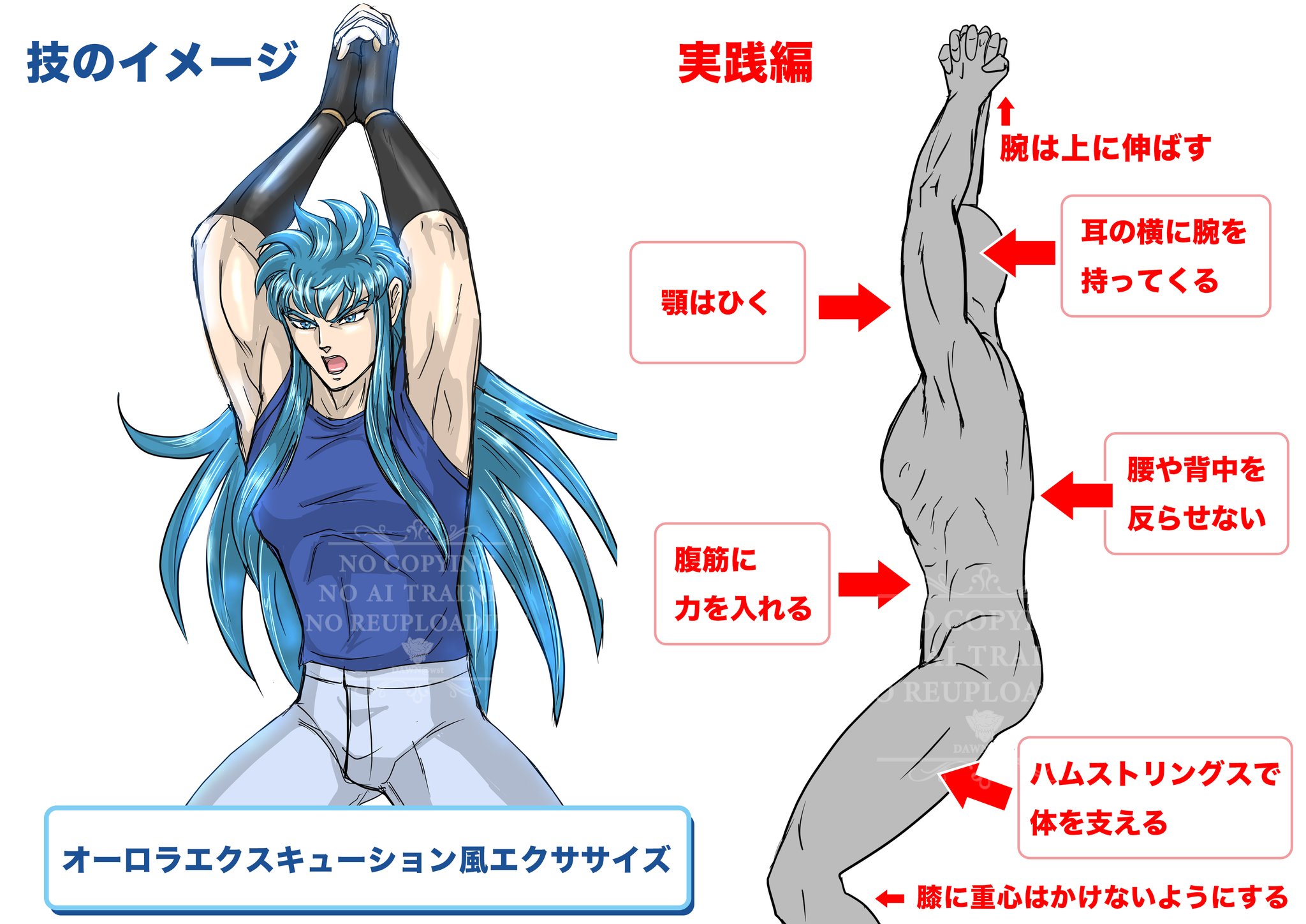 オーロラ エクス キュー ション