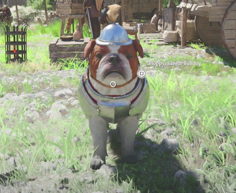 Adam The Renaissance Nerd tweet media