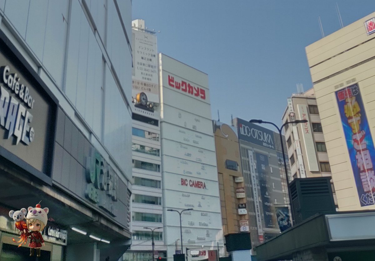 ☆コアラ☆ tweet media