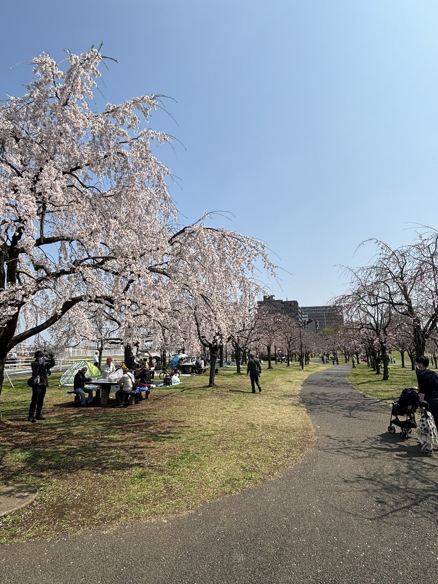 川島 直樹(慢性疼痛などで今走れません・ダイエット中) tweet media