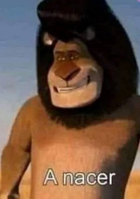 🇲🇽🦖 ALLO🦖🇲🇽 tweet media