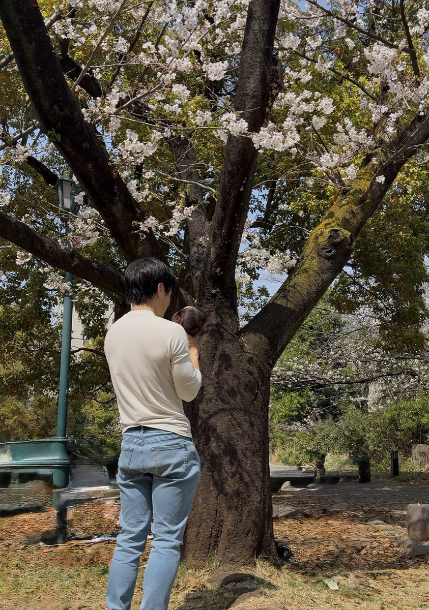 ミント💐日々の楽しみ tweet media